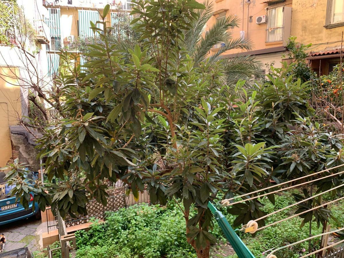 Da Ninetta Resterete Senza Parole, Garantito! Napoli Ngoại thất bức ảnh